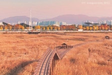 블라인드 | 내일투어 뉴스