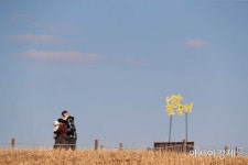 [포토]니가 참 좋아! - 아시아경제 [포토]니가 참 좋아! 