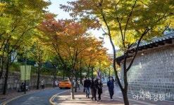 [포토]덕수궁길 찾은 시민들 - 아시아경제 [포토]덕수궁길 찾은 시민들