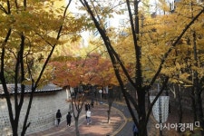 [포토]가을 정동길  - 아시아경제 [포토]가을 정동길 