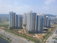 LH, 하반기 분양·임대주택 9만호 공급…수도권에 분양 55% - 아시아경제