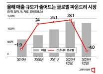 시스템반도체도 휘청…시장 한파에 업계 실적 전망 뚝 - 아시아경제
