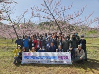 영덕군 친환경농업대학, 복숭아 농장 현장순회교육 실시 - 아시아경제