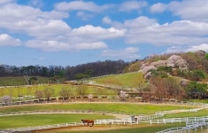 [조용준의 여행만리]알파카 뛰노는 비밀의 숲에서 피크닉~ - 아시아경제 [조용준의 여행만리]알파카 뛰노는 비밀의 숲에서 피크닉~  - 아시아경제