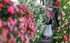 [포토]시크릿 가든 - 아시아경제