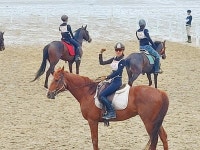 신안군, 12㎞ 광활한 백사장 대광해변에서 승마 축제 열려 - 아시아경제