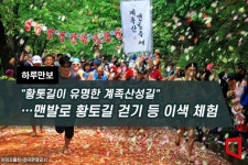 [하루만보] 황톳길이 유명한 계족산성길…맨발로 황토길 걷기 등 이색 체험 - 아시아경제