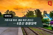 [하루만보]가로수길 따라, 철길 따라 걷는다…6호선 화랑대역 - 아시아경제 [하루만보]가로수길 따라, 철길 따라 걷는다…6호선 화랑대역... 