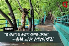 [하루만보] “옛 산골마을 숲길의 정취를 그대로”…충북 괴산 산막이옛길 - 아시아경제