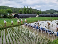 진도군, 제15회 지산면 ‘민속 문화축제’ 개최