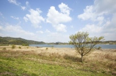 [하루만보]세 물길이 만나는 곳…여주 36코스 - 아시아경제