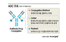 [이주의 관.종]암 치료 정밀유도로켓 만드는 리가켐바이오 - 아시아경제