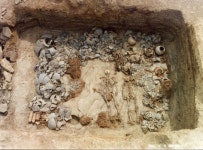 경산 압독국의 친족 관계, DNA 통해 국내 최초 확인