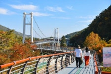 속초시, 설악향기로 개통 20개월 만에 50만 돌파…설악동 부활 신호탄
