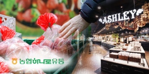 물가한파 얼어붙은 지갑 녹였다…애슐리퀸즈·농협유통