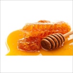 Honey Bee Supplies In Bengaluru (Bangalore) - Prices, Manufacturers & Suppliers