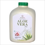 Aloe Vera In Mohali, Punjab At Best Price | Aloe Vera Manufacturers, Suppliers In Mohali