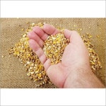 Maize Poultry Feed at Best Price in Hajipur, Bihar | Poulcare Pharma Pvt. Ltd.