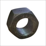 Plain Nuts In Jammu, Jammu And Kashmir At Best Price | Plain Nuts Manufacturers, Suppliers In Jammu
