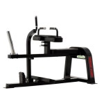 Fw-312 Seated Calf Application: Gain Strength at Best Price in Pune | Apple Fitness