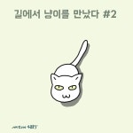 43화 길에서 만난 냥이 2 - 냥냥툰 - 비마이펫