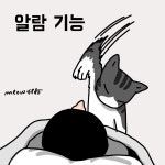 22화 고양이 기능 1 - 냥냥툰 - 비마이펫