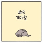 기다림 - 동동카페 - 비마이펫