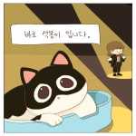 Ep.1 안녕, 석봉아! - 집사와 4명의 주인님들 - 비마이펫