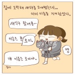 EP.2 안녕, 로미야! - 집사와 4명의 주인님들 - 비마이펫