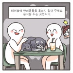 규칙 - 동동카페 - 비마이펫