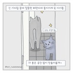언니, 베란다 문 열어조 - 삼타이거 - 비마이펫