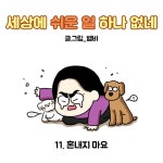혼내지 마요 - 세상에 쉬운 일 하나 없네 - 비마이펫
