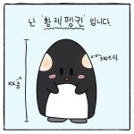 11화ㅡ 황제펭귄 이야기(아빠편) - 오늘도 펭귄 - 비마이펫