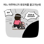 혼내지 마요 - 세상에 쉬운 일 하나 없네 - 비마이펫
