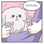 안녕하세요 - 동동카페 - 비마이펫
