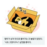 비닐봉투가 좋아! - 행두가 궁금해 - 비마이펫