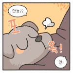 힐링 - 동동카페 - 비마이펫
