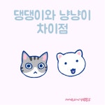 98화 댕댕이와 냥냥이 차이점 - 냥냥툰 - 비마이펫