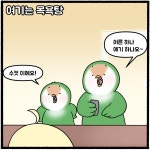 때빼고 광내고! - 한지붕 새가족 - 비마이펫