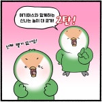 재미있는 놀이(2) - 한지붕 새가족 - 비마이펫