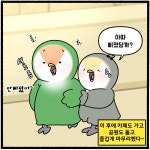 아이스와 데이트! - 한지붕 새가족 - 비마이펫