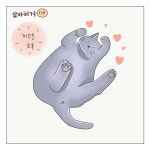 게으른 오후 - 삼타이거 - 비마이펫