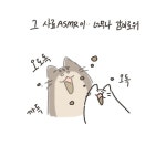 사료 - 냥냥한 하루 - 비마이펫