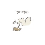 사료 - 냥냥한 하루 - 비마이펫