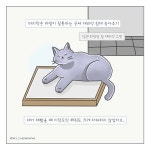 털복숭이 친구들 여름나기 - 삼타이거 - 비마이펫