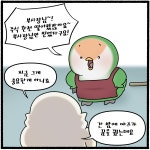 주식과 꿈(2) - 한지붕 새가족 - 비마이펫