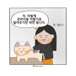 마루이발소 - 마루하루 - 비마이펫