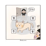 마루이발소 - 마루하루 - 비마이펫