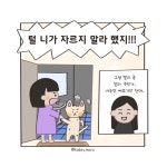 마루이발소 - 마루하루 - 비마이펫