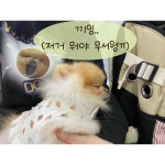 뿌꾸는 무서워 - 뿌꾸툰 - 비마이펫